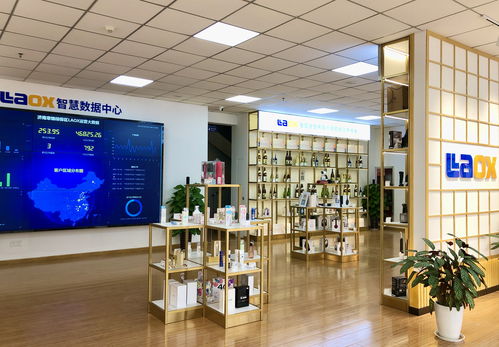 雙輪驅(qū)動(dòng)再出發(fā) 激活濟(jì)南對(duì)外開(kāi)放強(qiáng)引擎